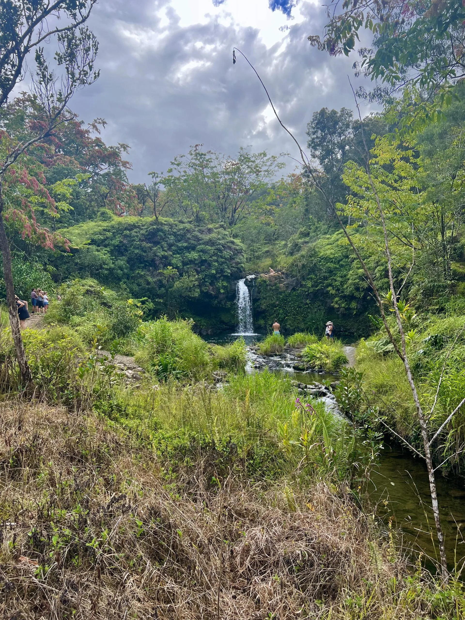 Pu’a Ka’a State Wayside Park- stop along the road to Hana