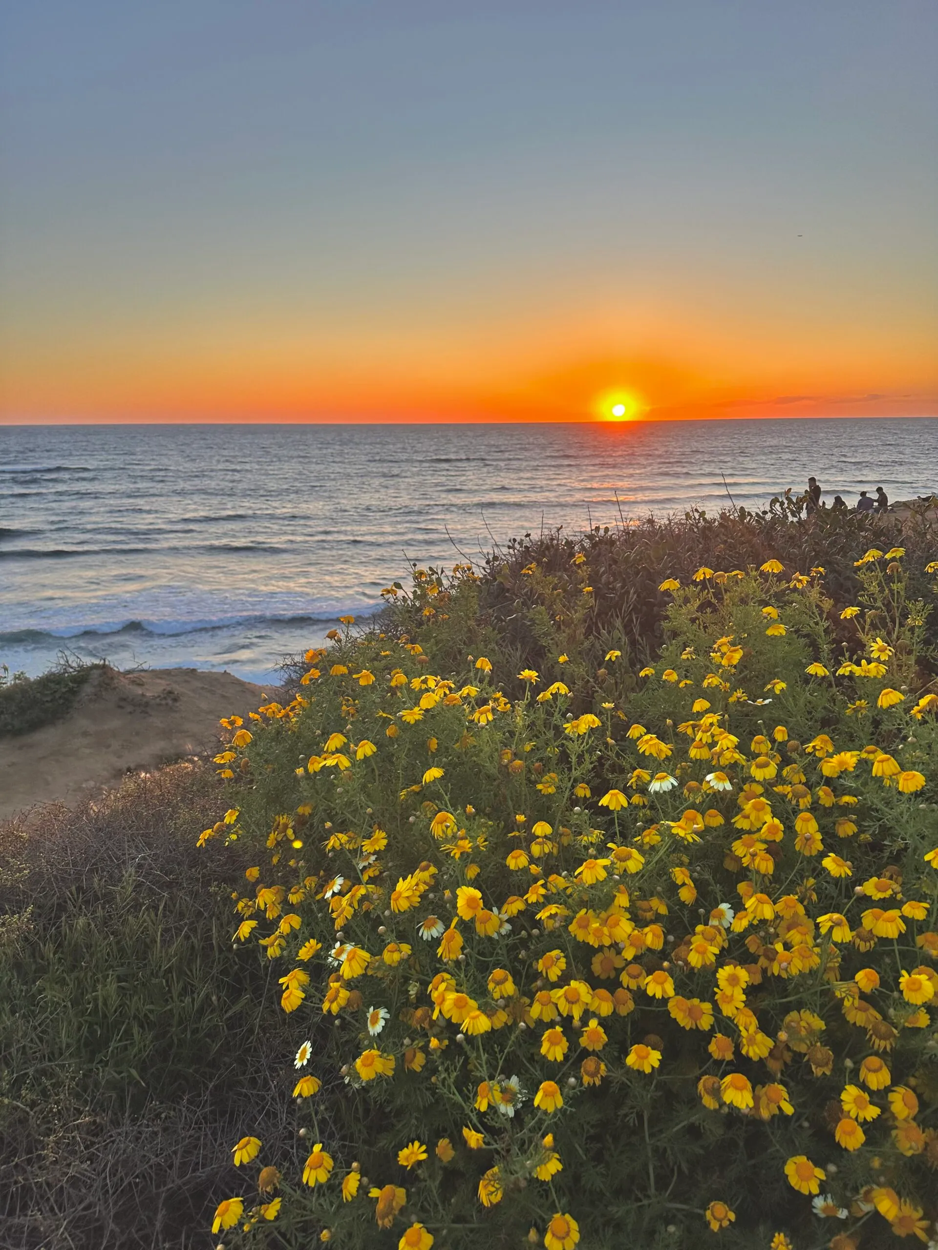 Exploring Massachusetts