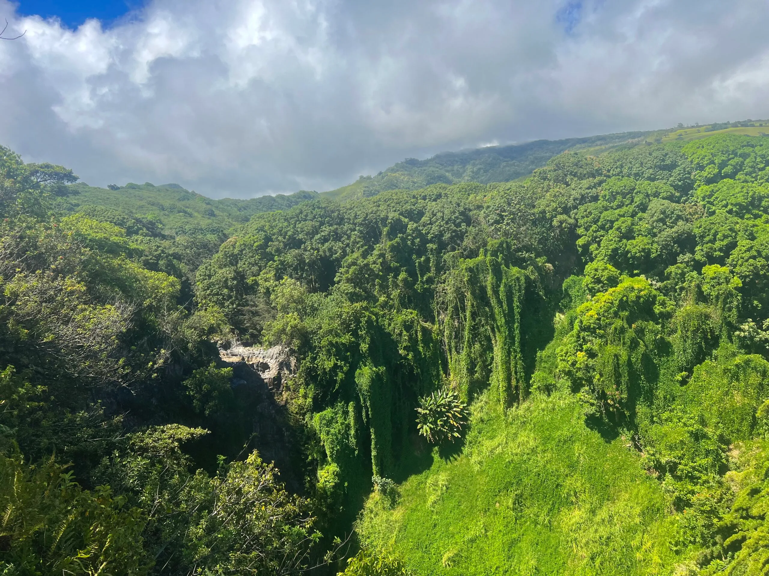 Wailua Falls - stop along the road to Hana