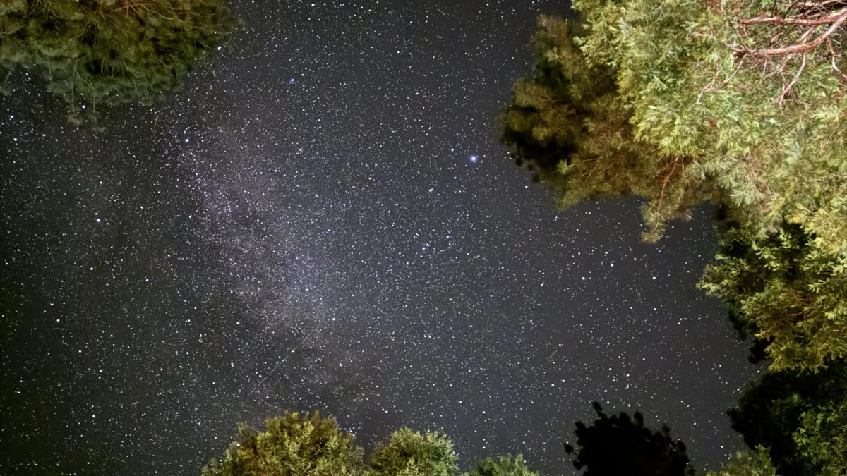 Where to Go Stargazing Near San Diego: 4 Best Dark Sky Locations