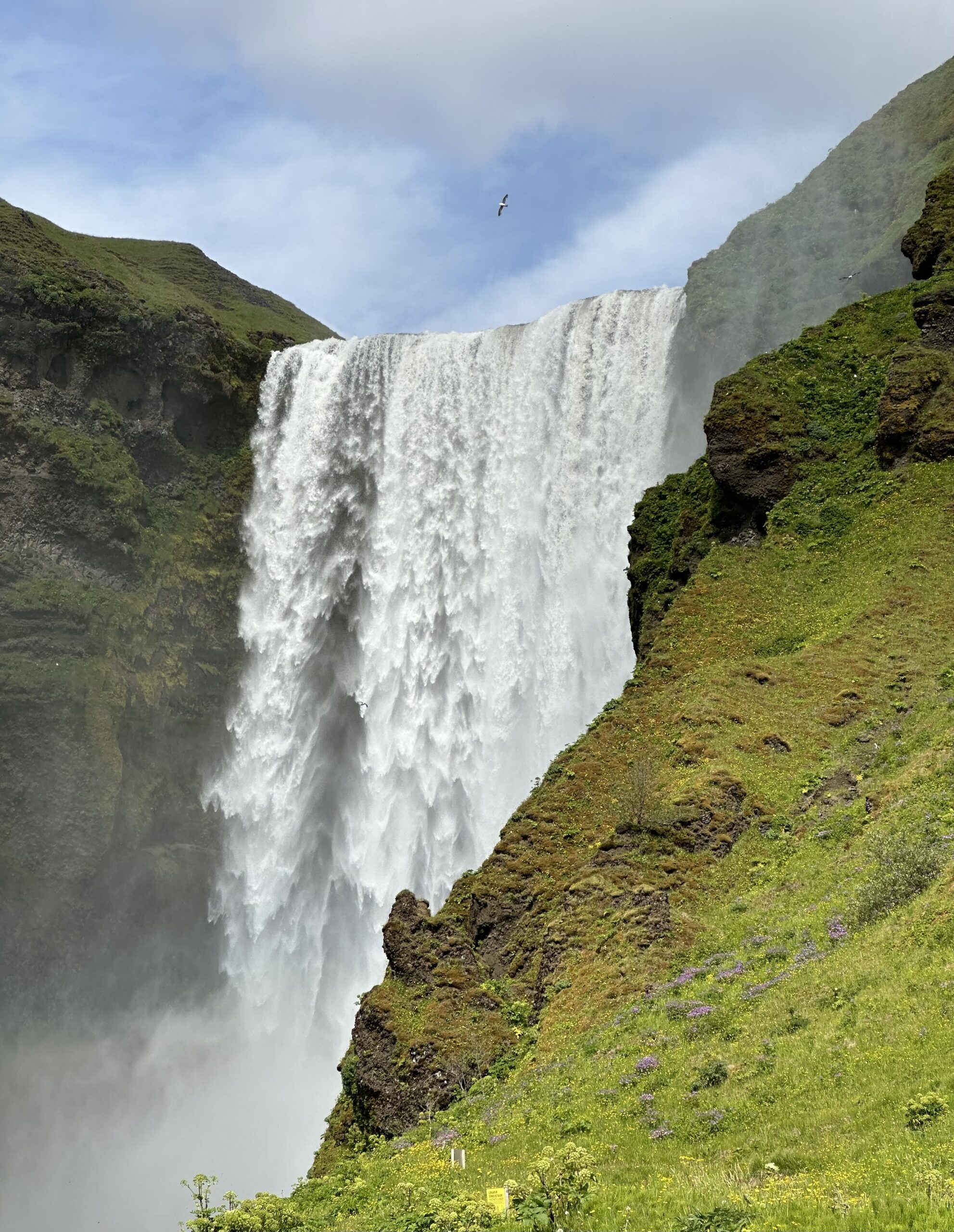 Essential Iceland Travel Tips for First-Timers: Must-Know Advice for Your 2025 Trip