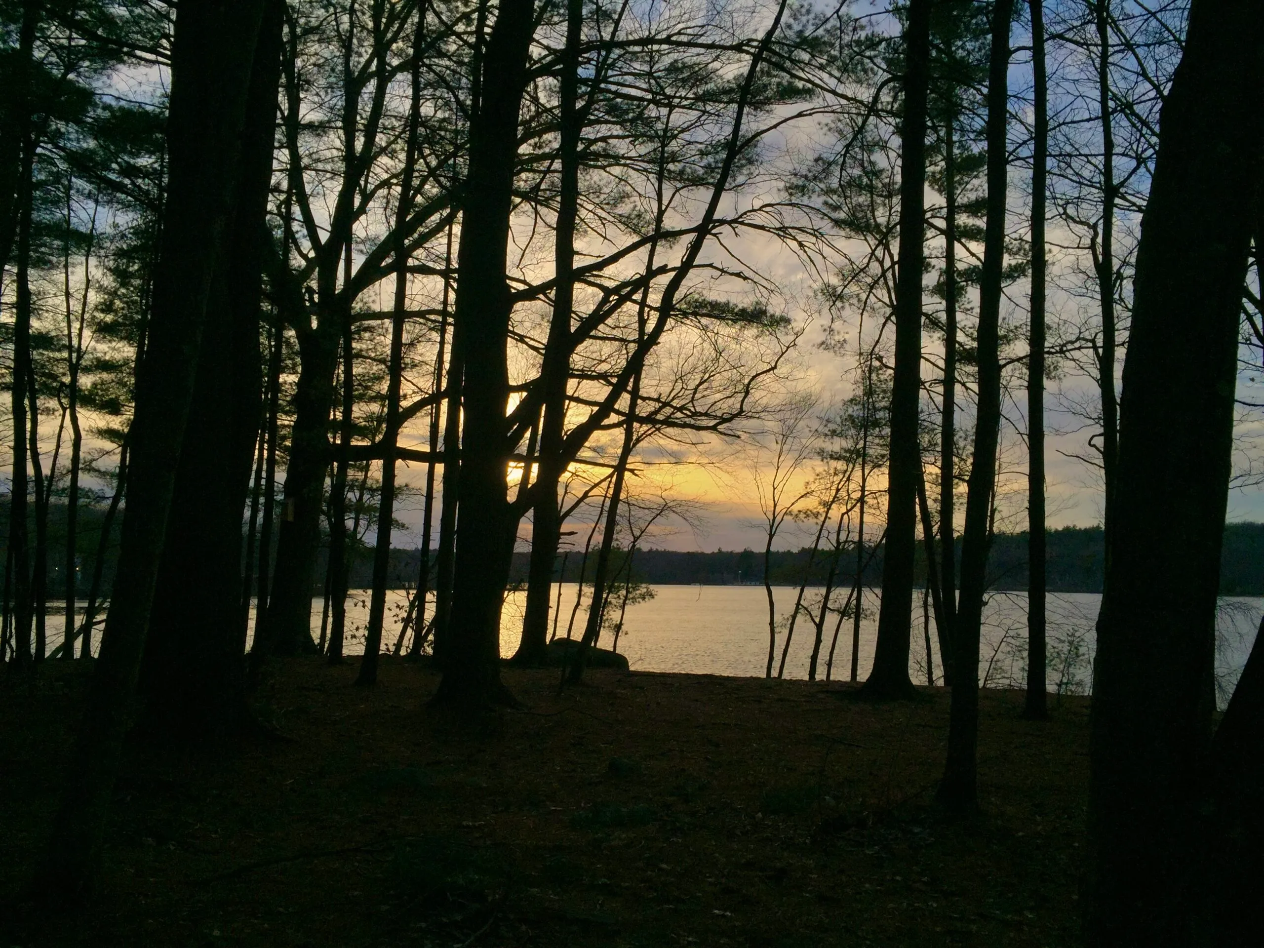 Lake view near Sandy beach at dusk