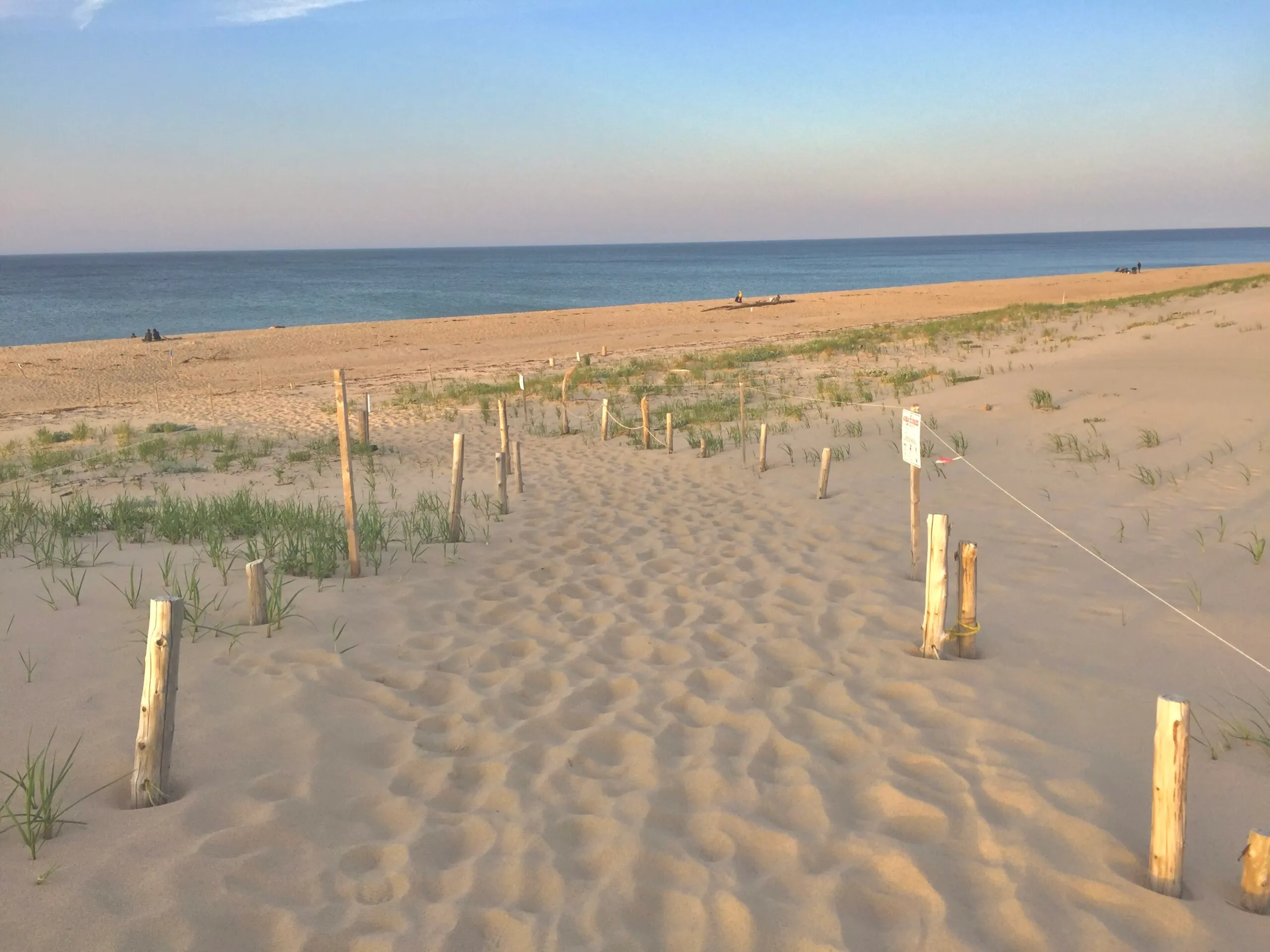 Head of the Meadow Beach, Cape Cod