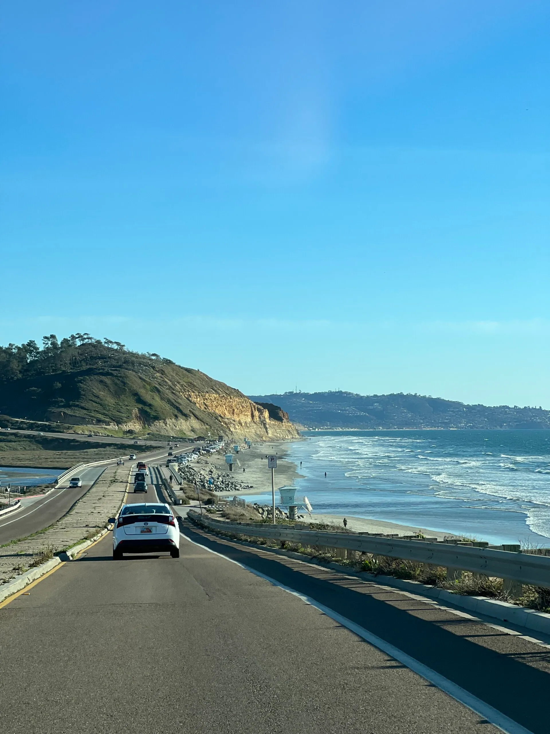 View of Torrey Pines State Beach from the road