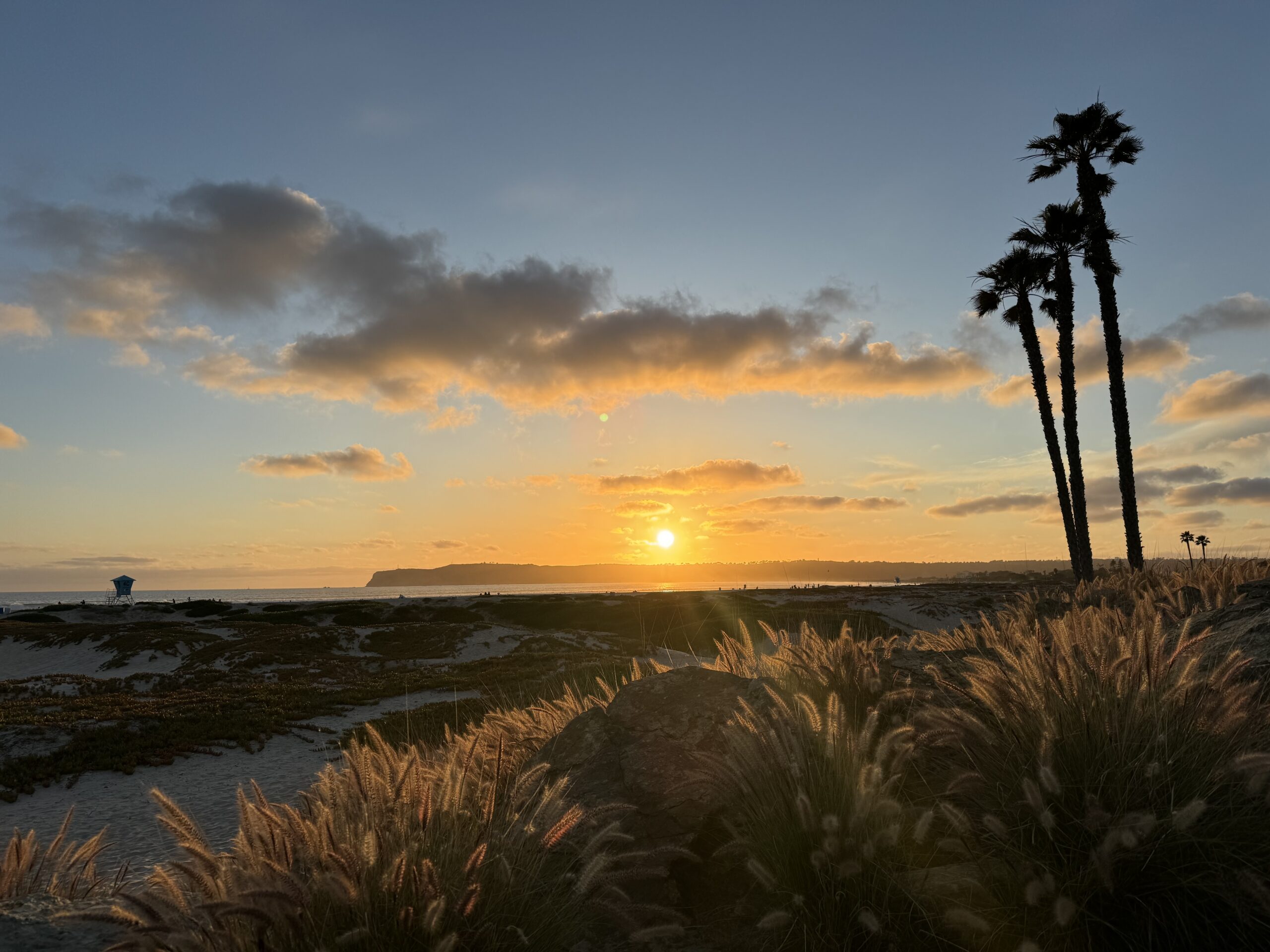 8 Prettiest Beaches in San Diego, California (Local’s Guide to Hidden Gems &amp; Scenic Spots)