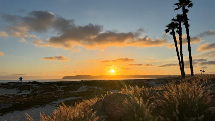 8 Prettiest Beaches in San Diego, California (Local's Guide to Hidden Gems & Scenic Spots)