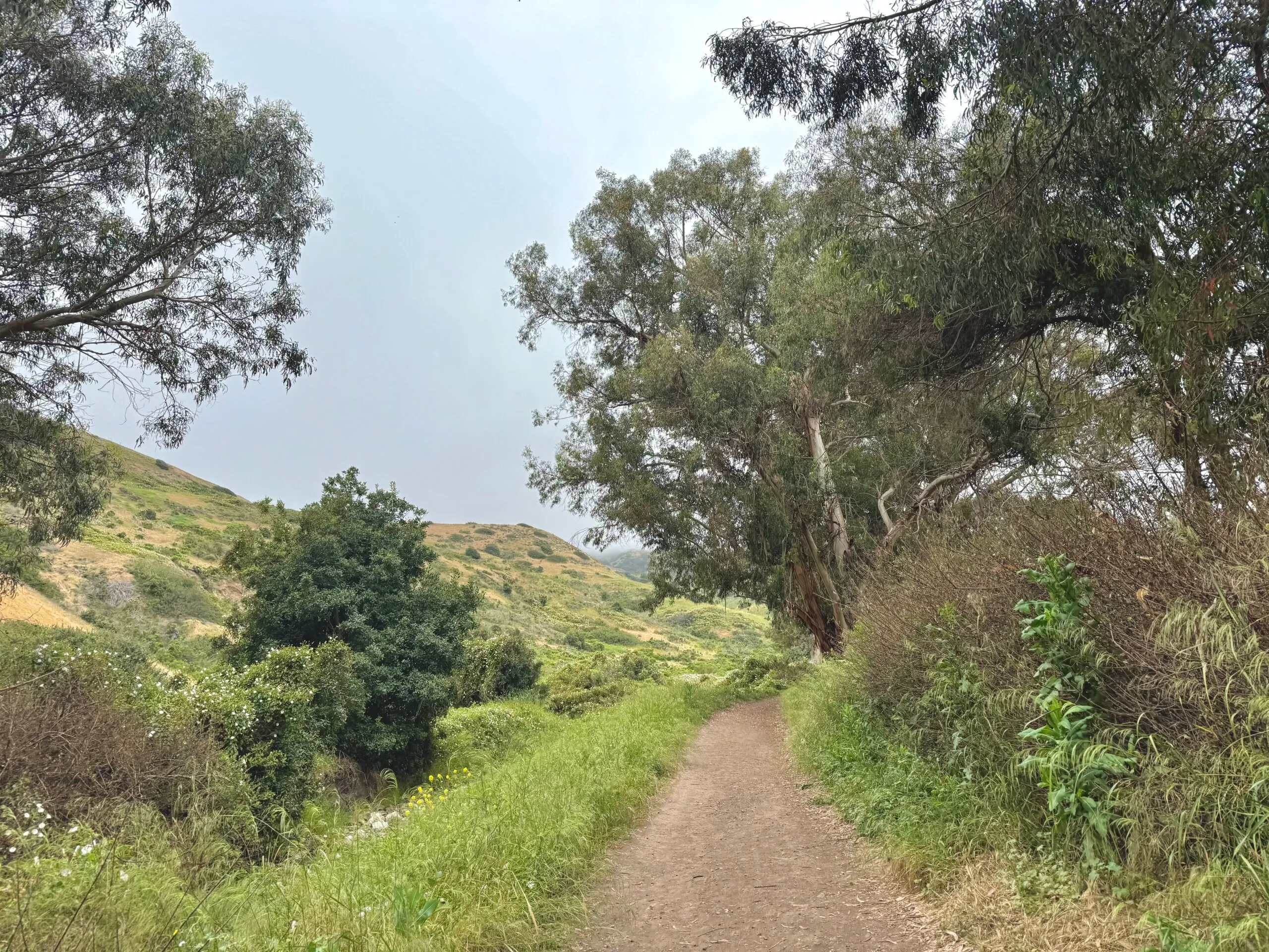 Hiking in Santa Cruz, Channel Islands National Park, California