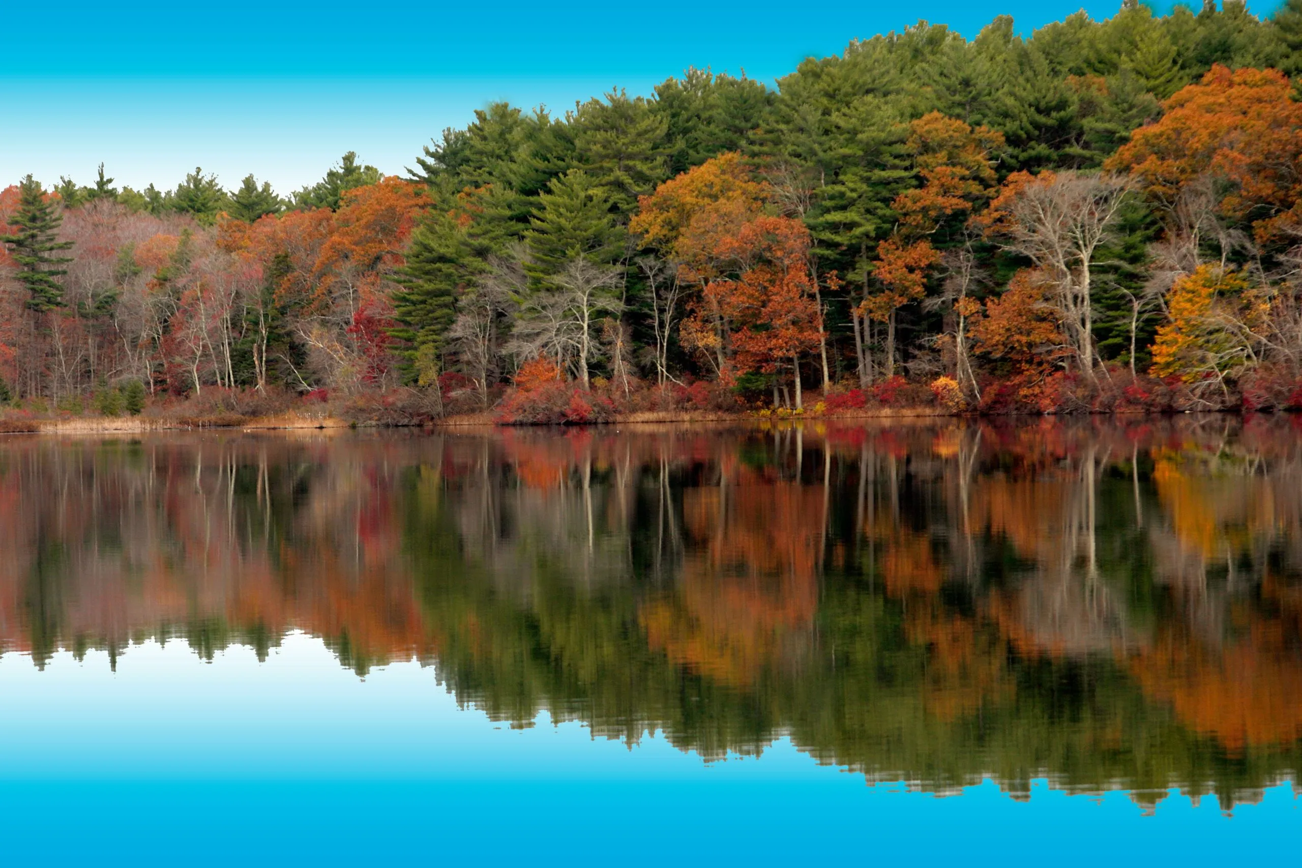 Lake Whitehall in the fall