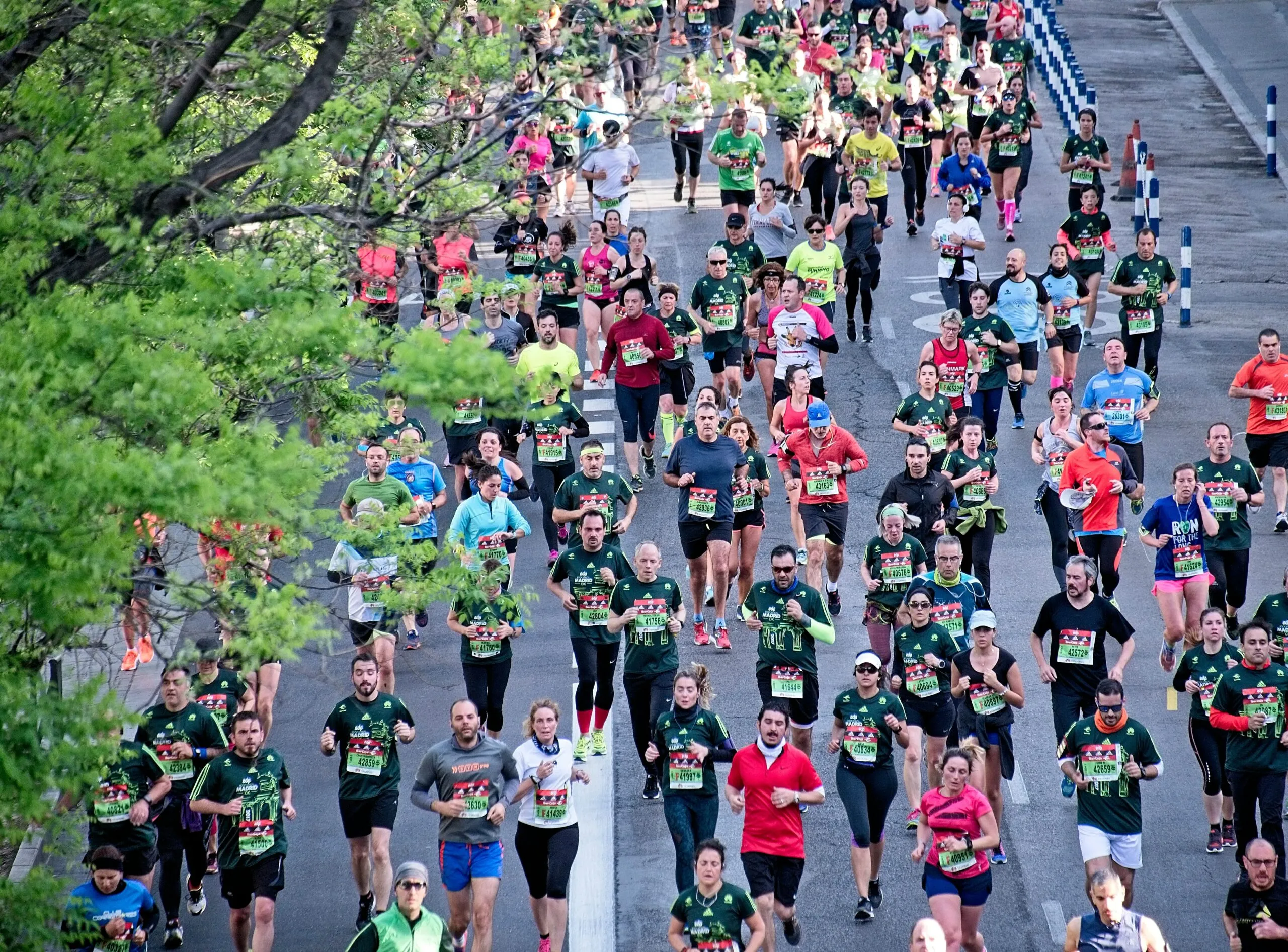 Runners in the Boston Marathon