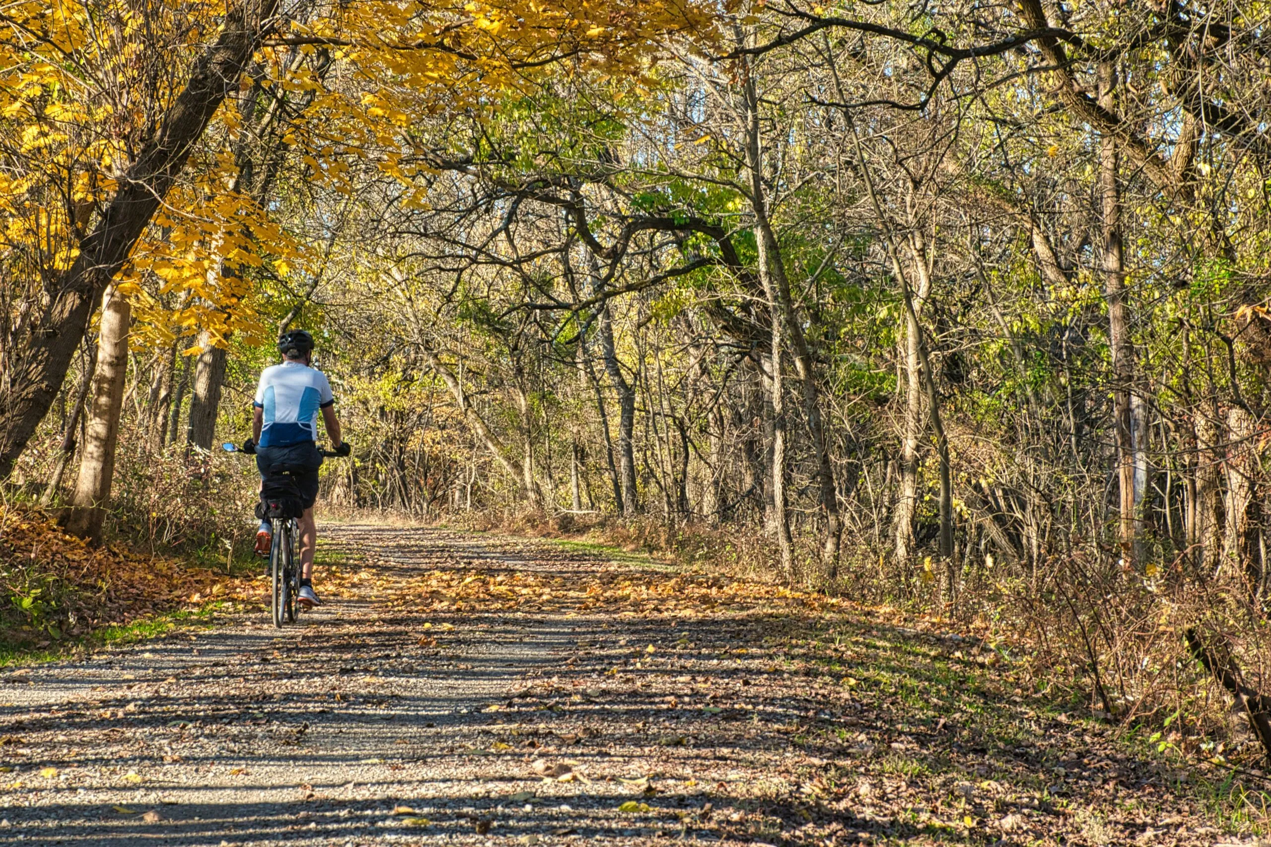 Bike trail in autumn